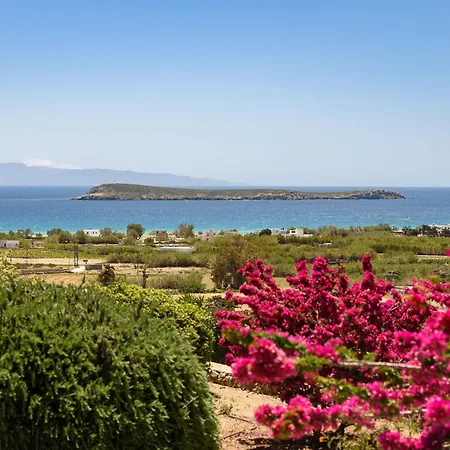 Thalatta Paros Chrisi Akti (Paros)